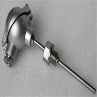 WZP液壓(ya)溫度變送(song)器